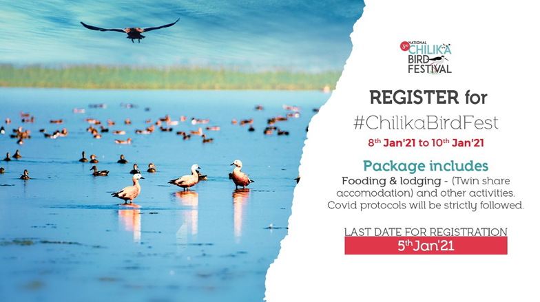 National Chilika Bird Festival